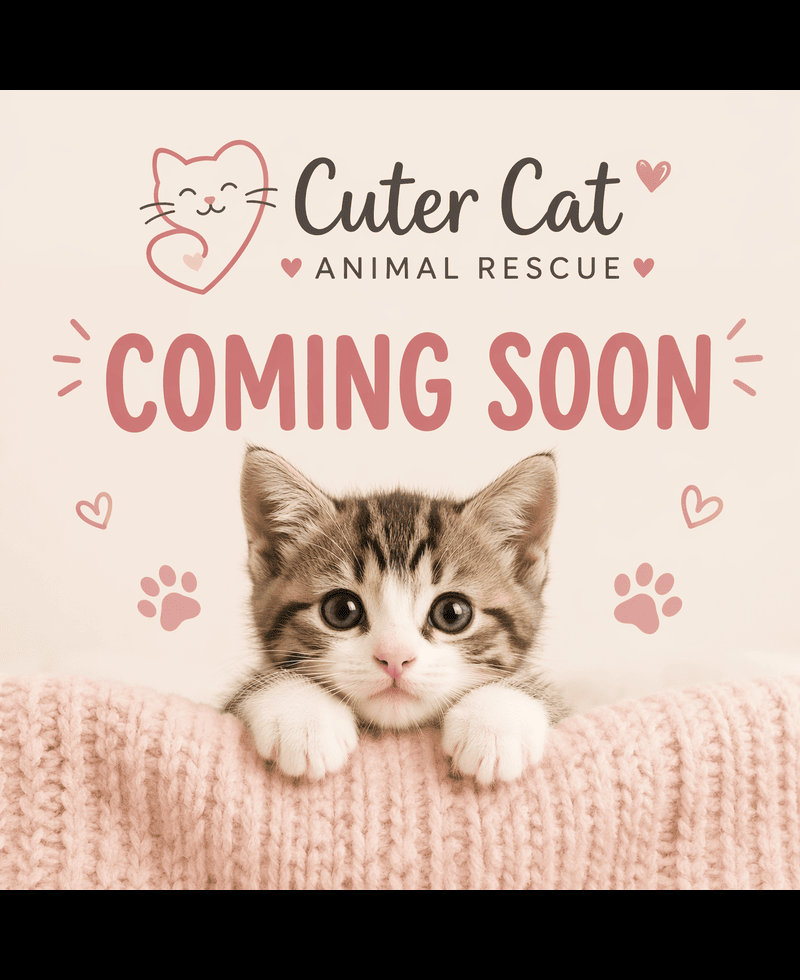 Coming Soon