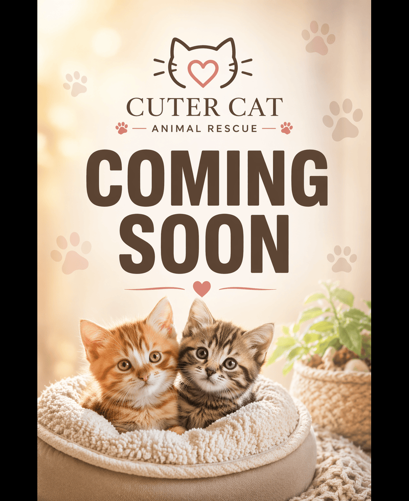 Coming Soon