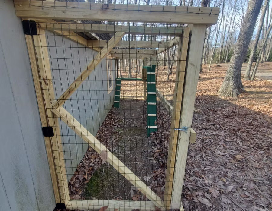 Catio